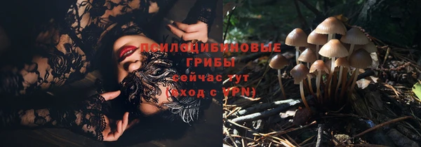 дурь Новозыбков