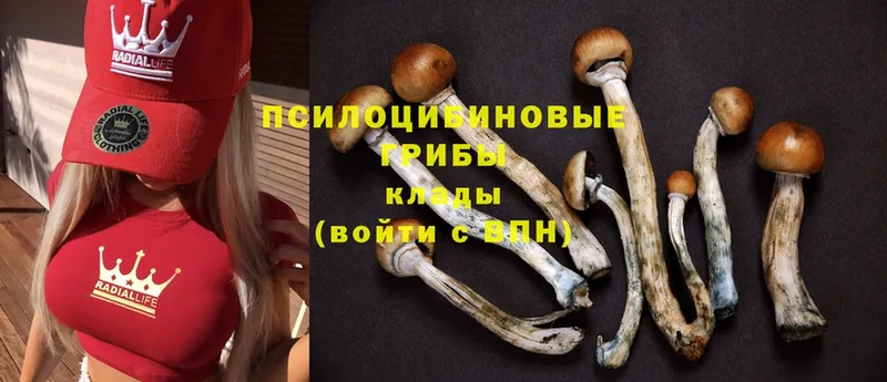 Галлюциногенные грибы MAGIC MUSHROOMS  мориарти официальный сайт  Белебей 