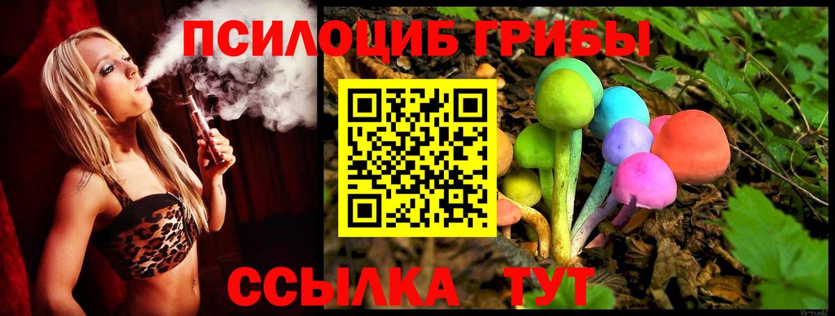 Псилоцибиновые грибы Psilocybine cubensis Белебей